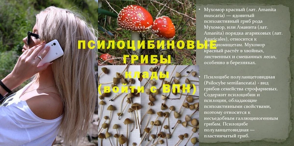 прущая мука Дмитровск