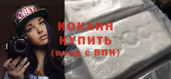 ПСИЛОЦИБИНОВЫЕ ГРИБЫ Горняк