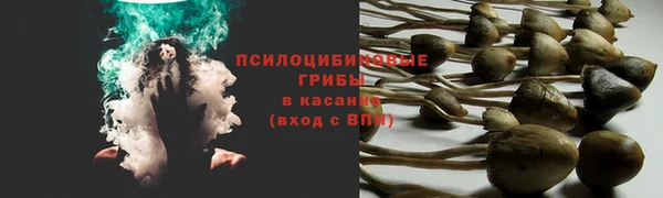 гидропоника Горнозаводск