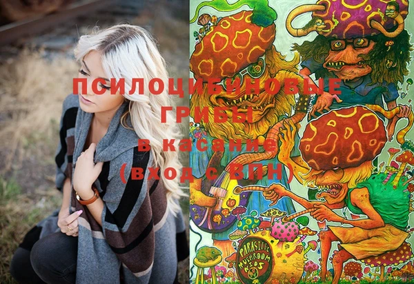 ПСИЛОЦИБИНОВЫЕ ГРИБЫ Горняк
