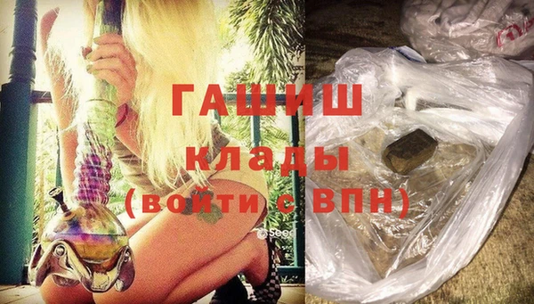 spice Гусев