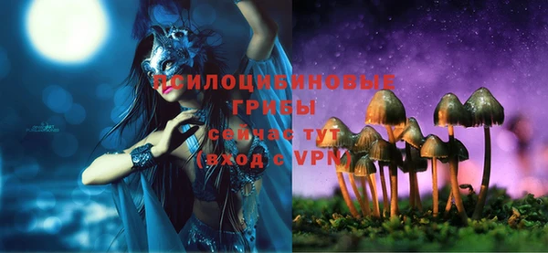 прущая мука Гусиноозёрск