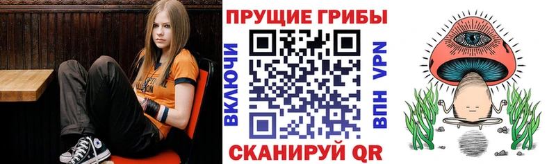 Псилоцибиновые грибы Psilocybine cubensis даркнет сайт Ангарск